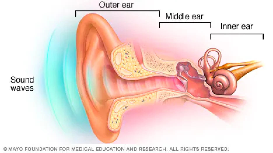 Types of hearing loss